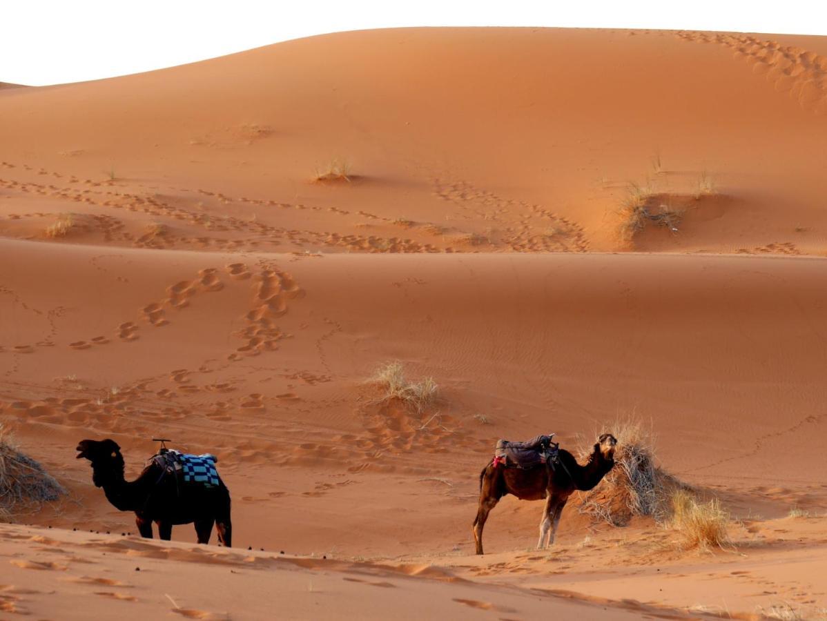 La Vallée des Dunes - Maison d'hôtes et Bivouac Acomodação com café da manhã Merzouga Exterior foto