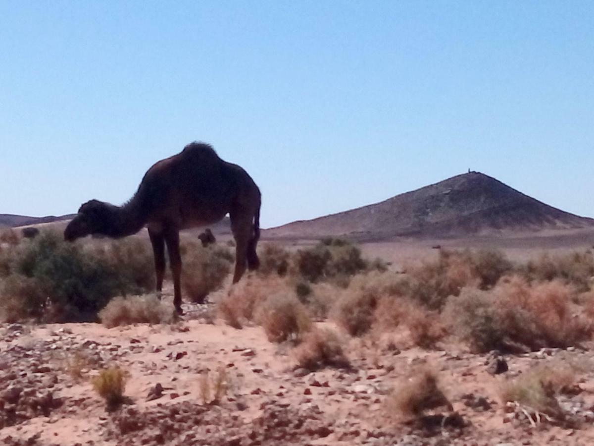 La Vallée des Dunes - Maison d'hôtes et Bivouac Acomodação com café da manhã Merzouga Exterior foto