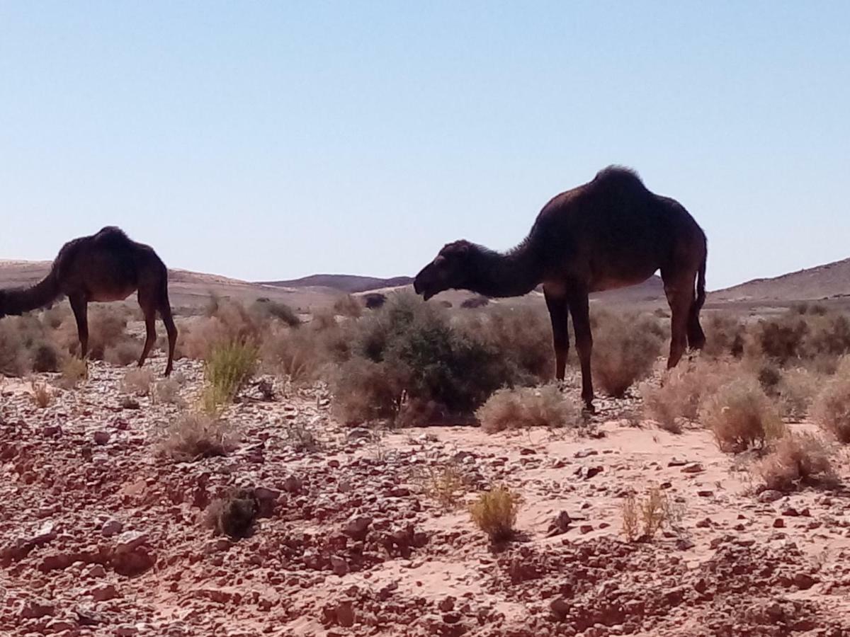 La Vallée des Dunes - Maison d'hôtes et Bivouac Acomodação com café da manhã Merzouga Exterior foto