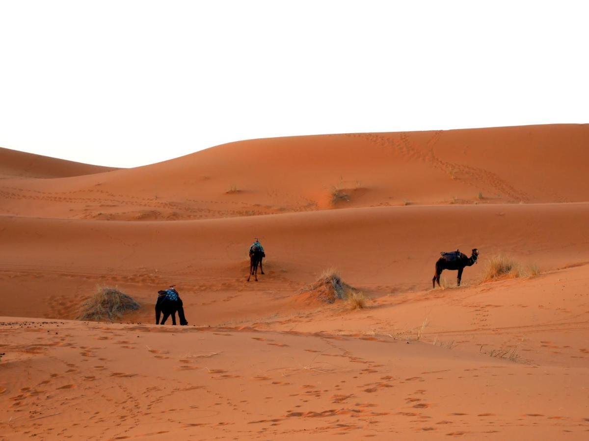 La Vallée des Dunes - Maison d'hôtes et Bivouac Acomodação com café da manhã Merzouga Exterior foto